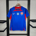Slovakia 2024-25 Home Football Jersey