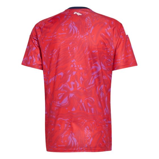 Costa Rica 2026-27 Home Football Jersey