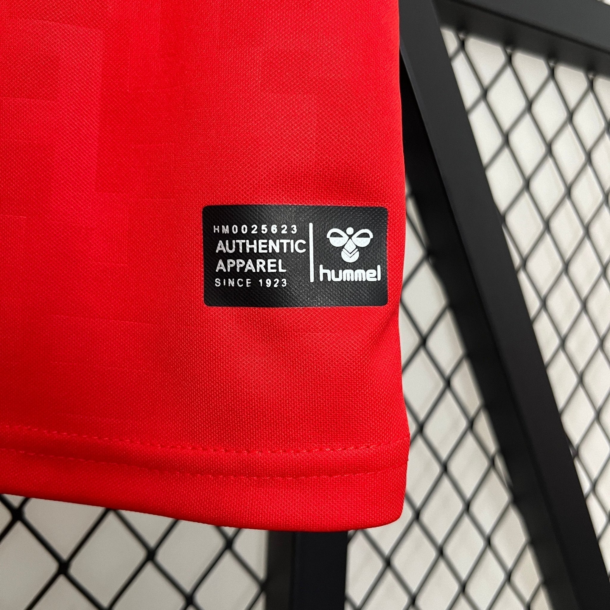 Denmark 2024 Home Football Jersey