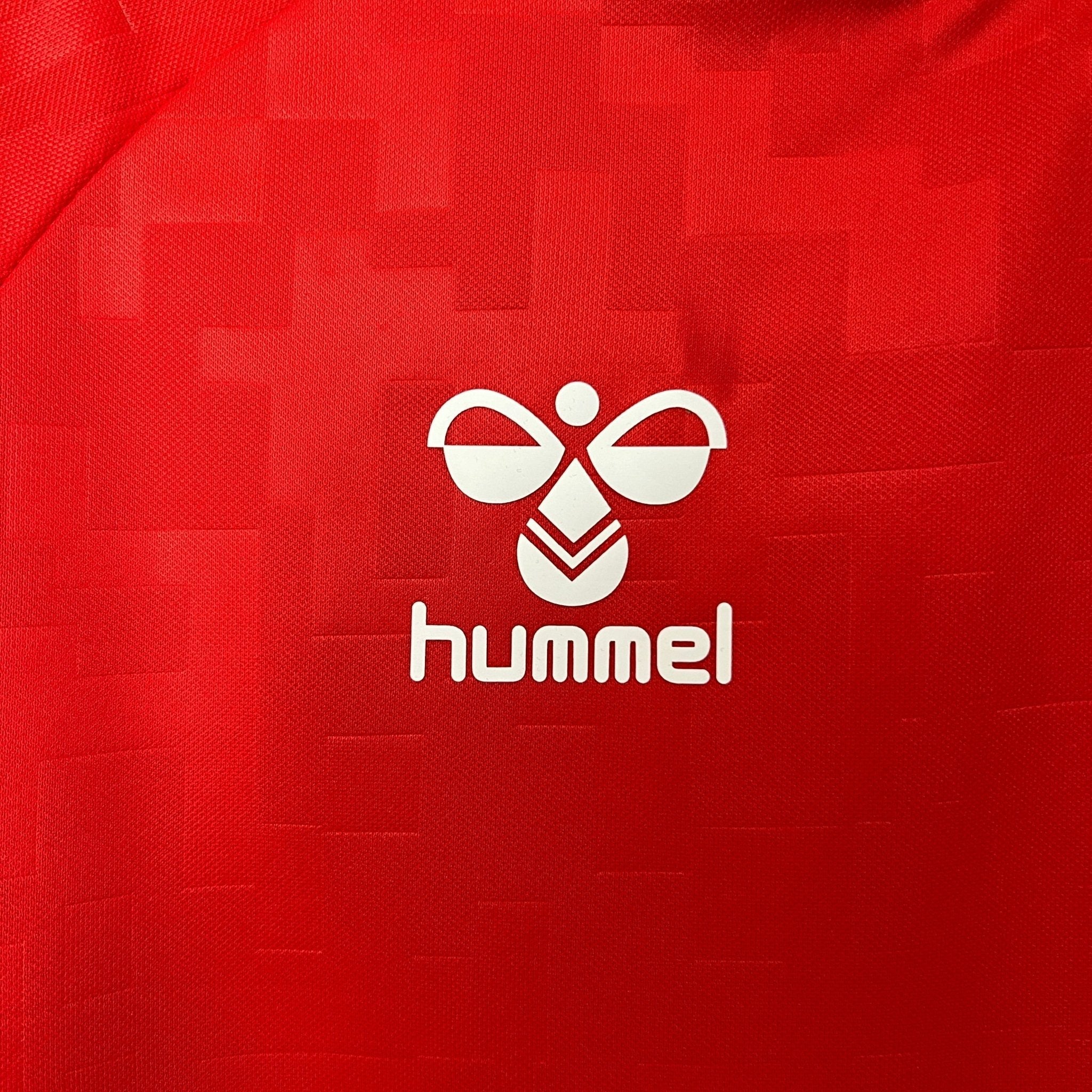 Denmark 2024 Home Football Jersey