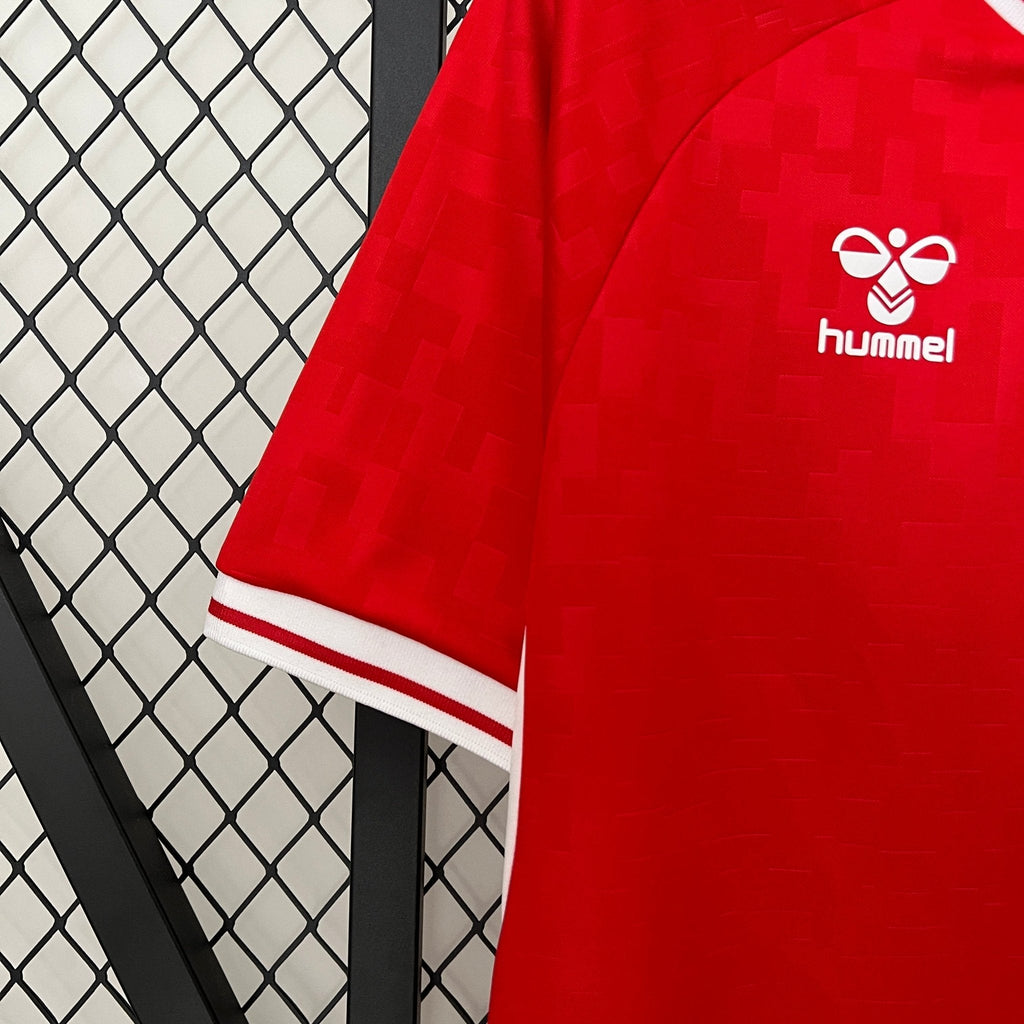 Denmark 2024 Home Football Jersey