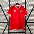 Denmark 2024 Home Football Jersey