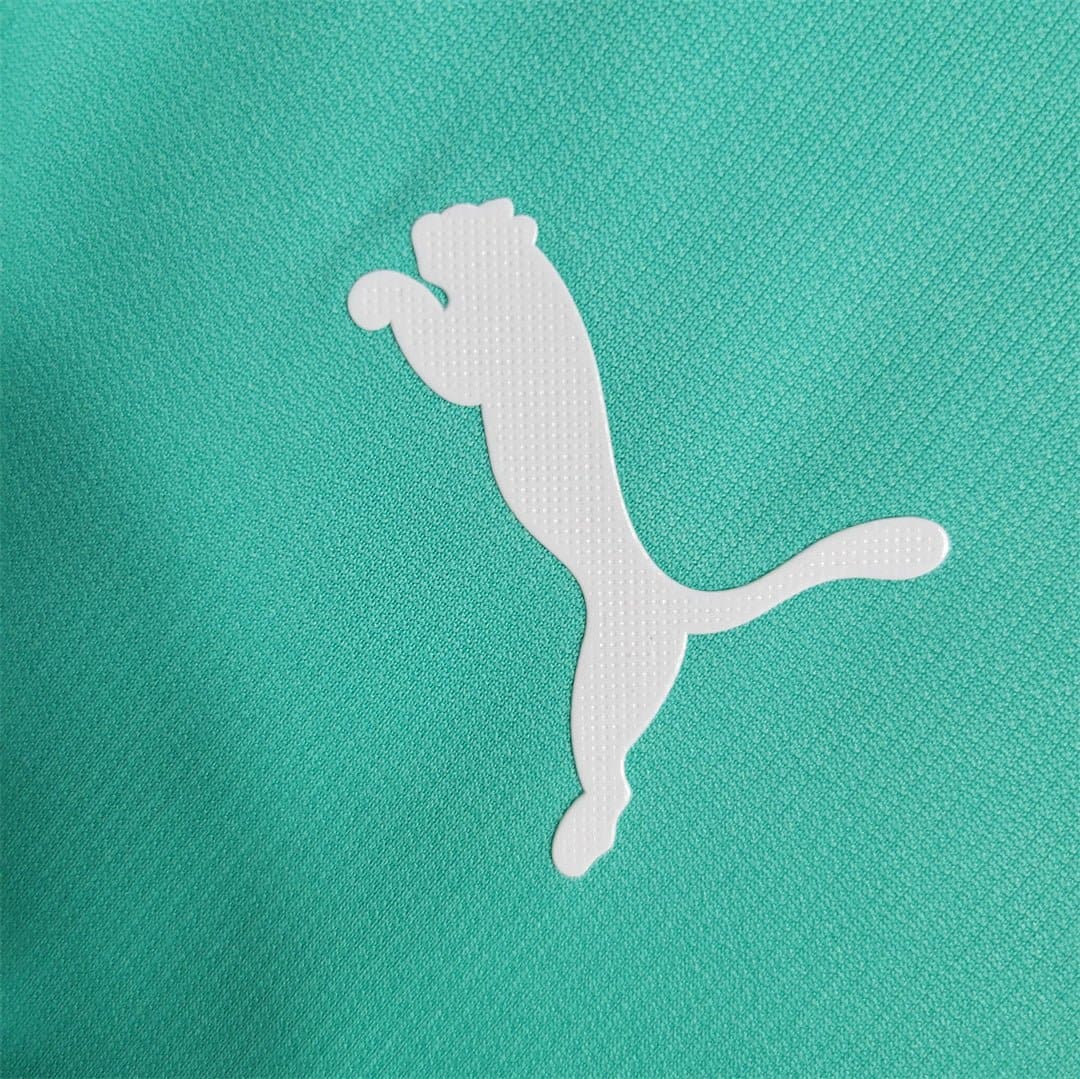 Palmeiras Retro Classic Football Jersey